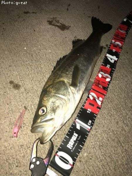 �����Х�