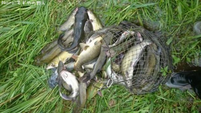 ����åȥե��å���