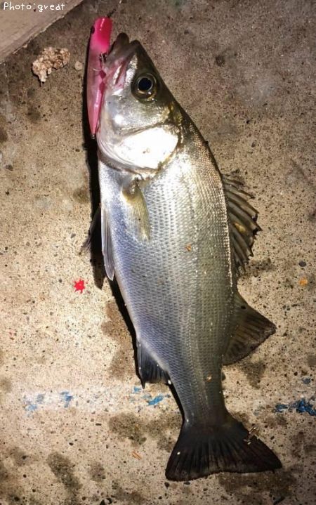 �ҥ饹����