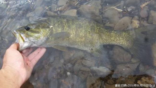 ���⡼��ޥ����Х�