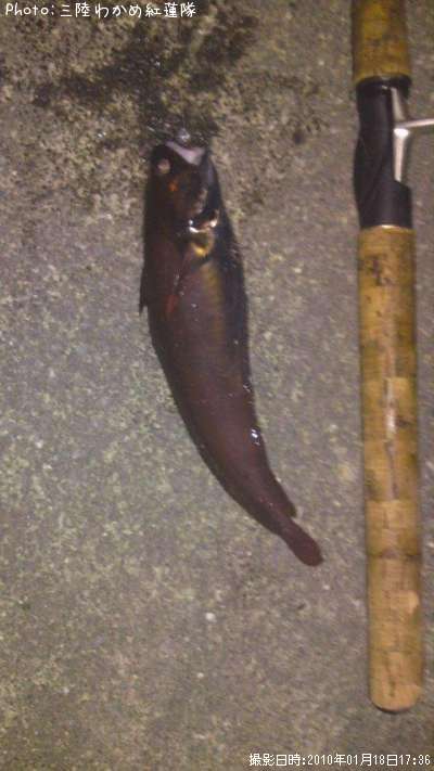 �������������ʥ�