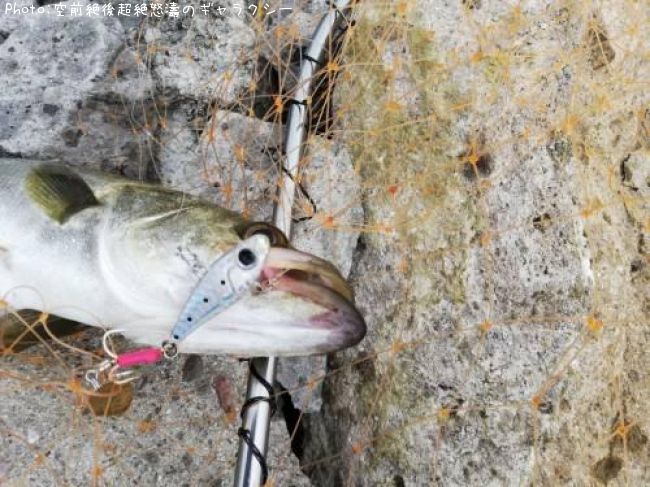 �����Х�