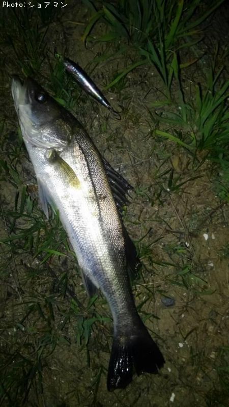 �����Х�