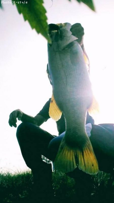 �֥�å��Х�