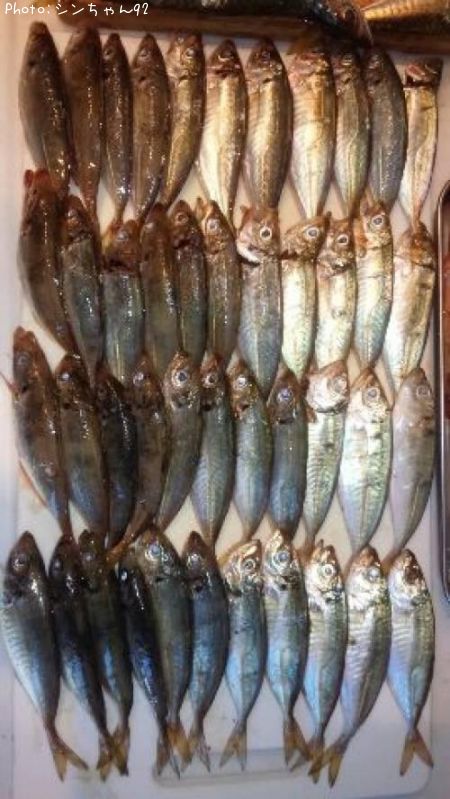 ����������¾