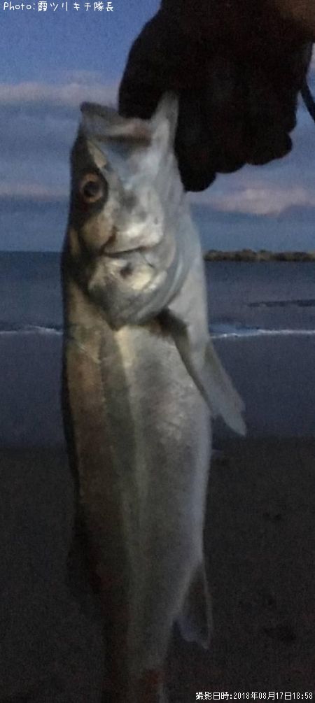 �����Х�