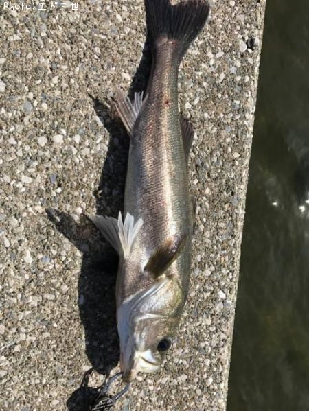 �����Х�