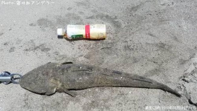 �ޥ���