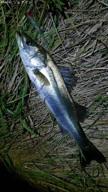 �����Х�