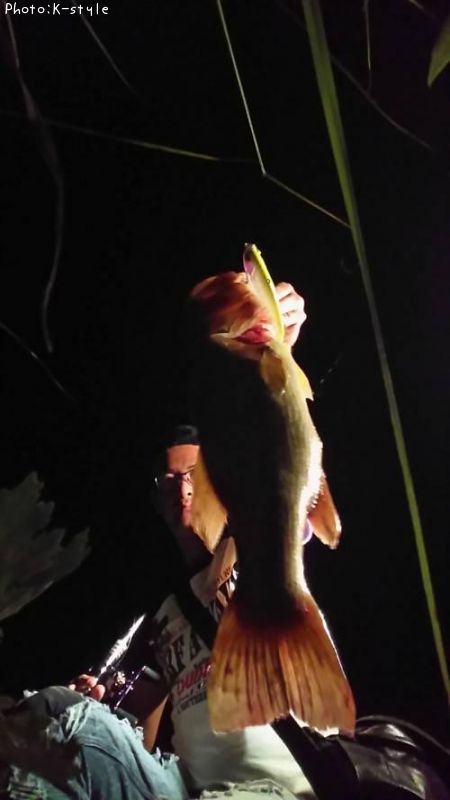 �֥�å��Х�