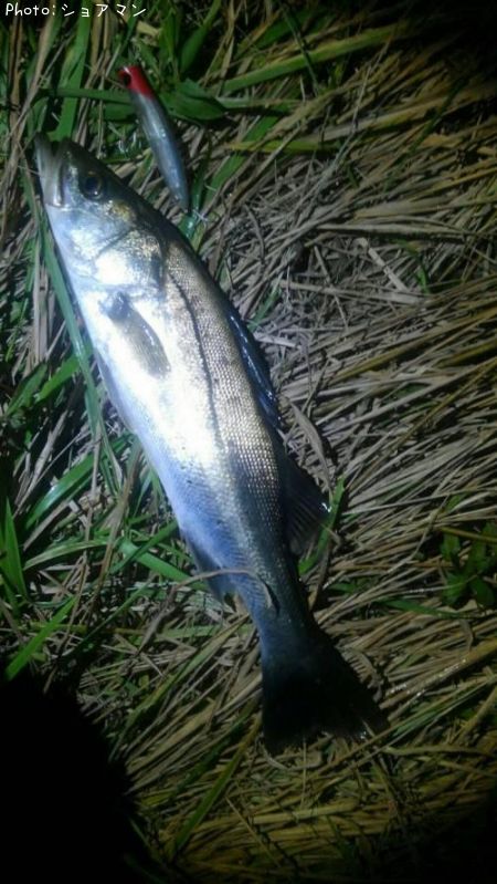 �����Х�