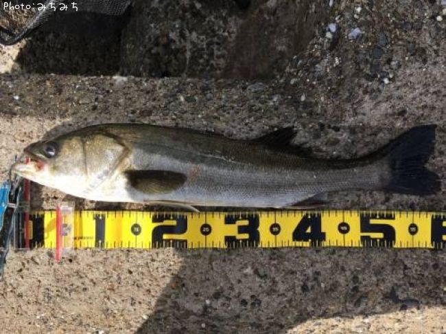 �����Х�