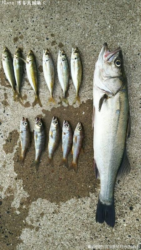 �����������������