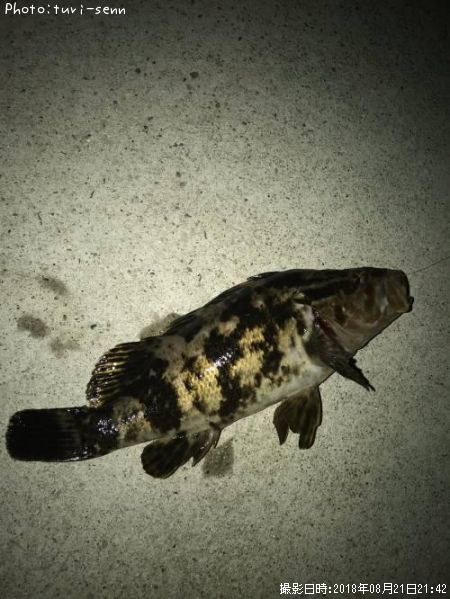 �����Υ���Х�