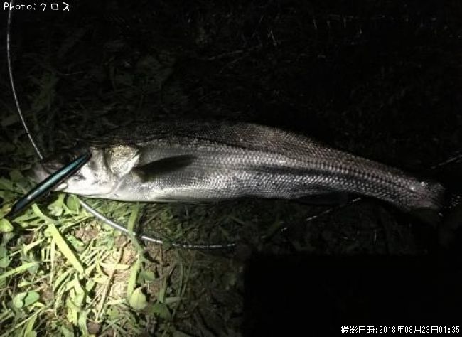 �����Х�