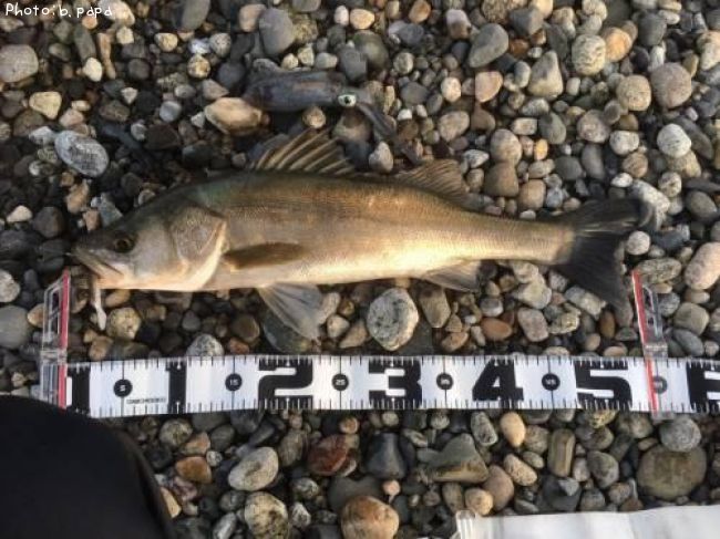 �����Х�