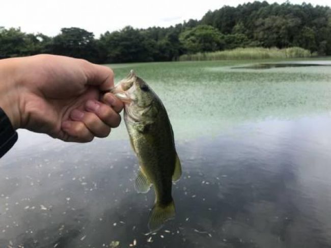 �֥�å��Х�