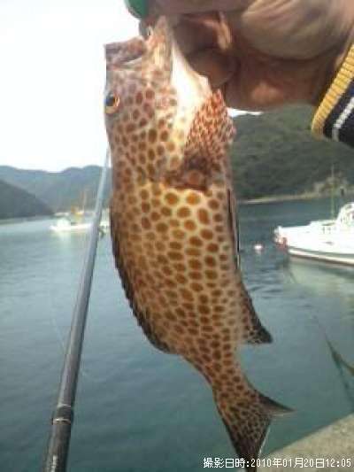 �������ϥ�