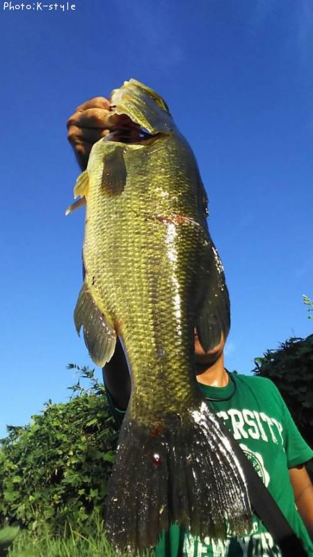 �֥�å��Х�