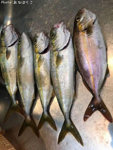 �參�������祴