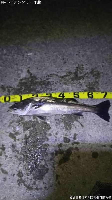 �����Х�