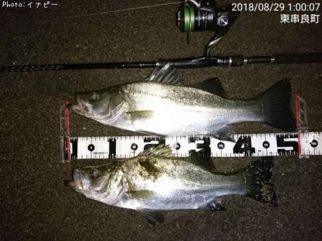 �ҥ饹����