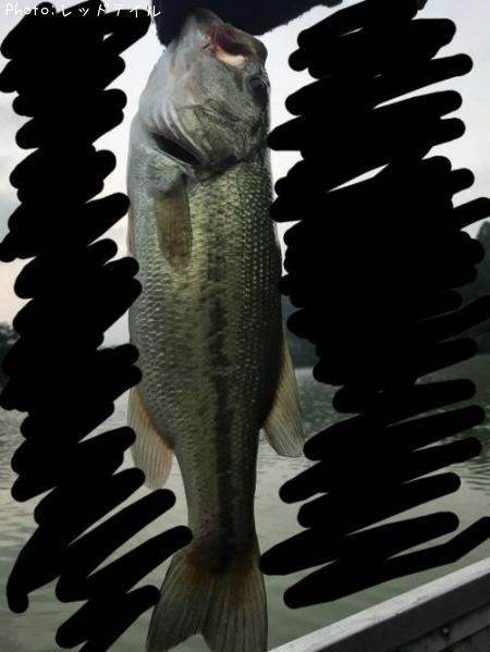 �֥�å��Х�