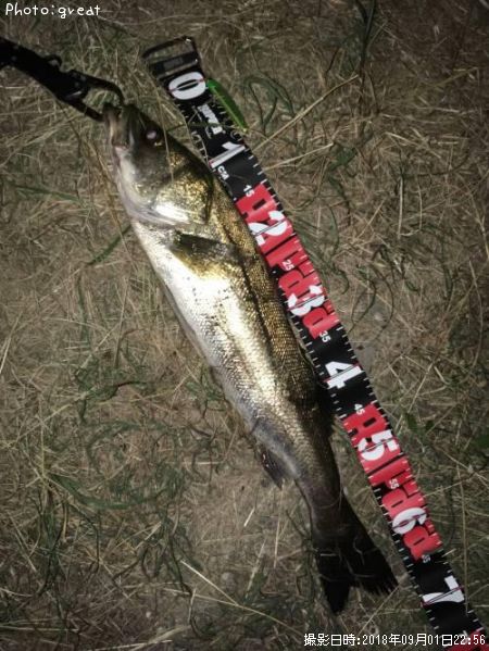 �����Х�