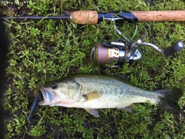 �֥�å��Х�