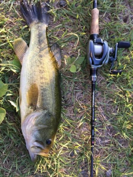 �֥�å��Х�