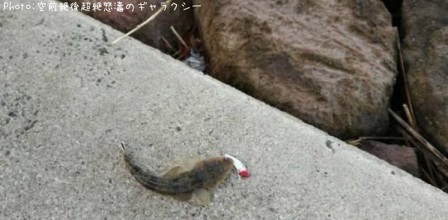 �ޥ���