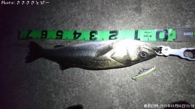 �����Х�