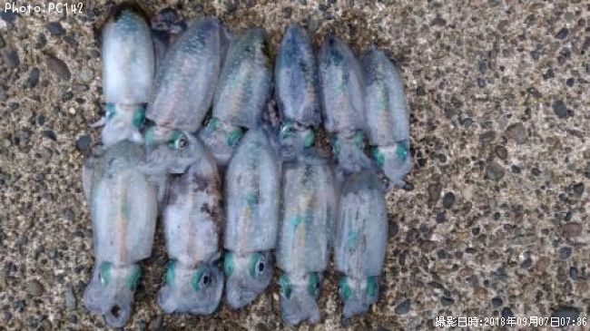 �����ꥤ��