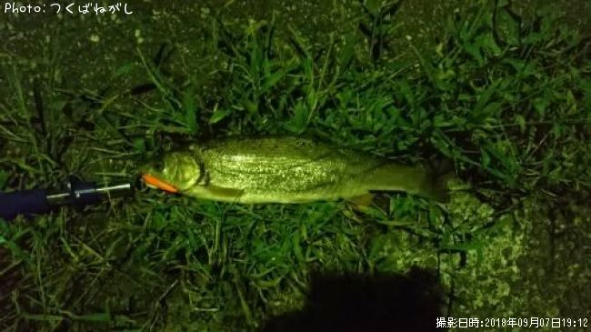 �ޥ륿������