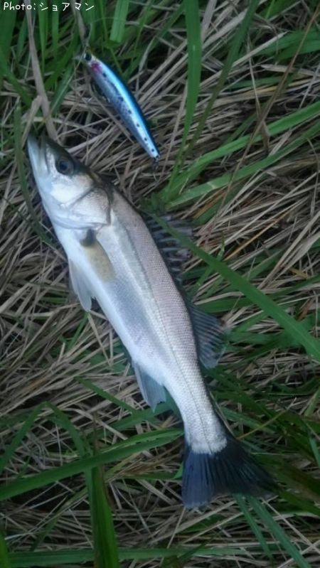 �����Х�