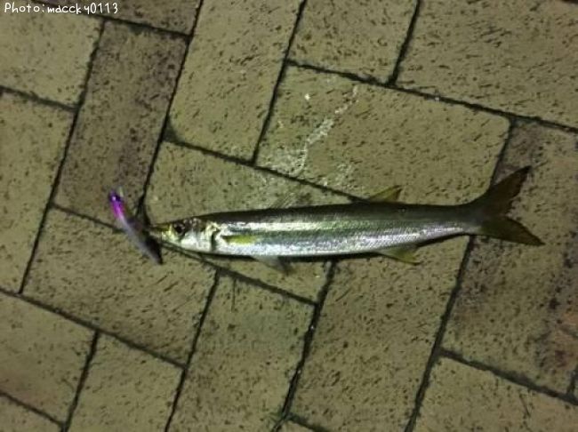 �������ޥ�