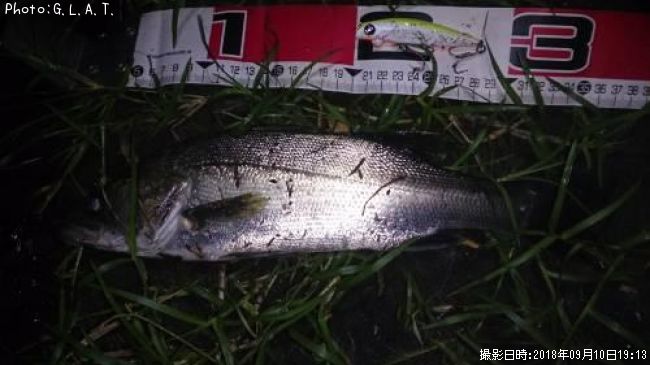 �����Х�