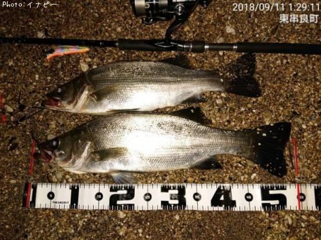 �ҥ饹����