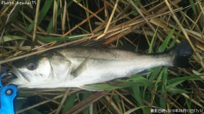 �����Х�