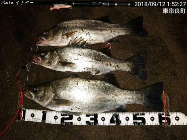 �ҥ饹����