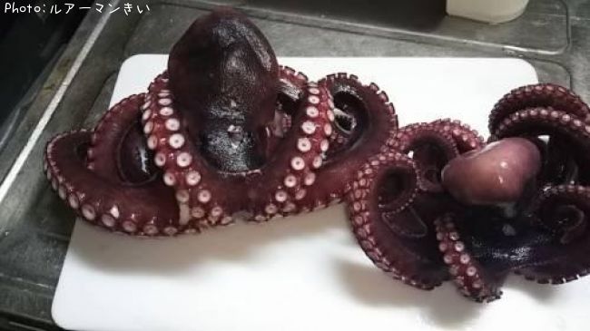 �ޥ���
