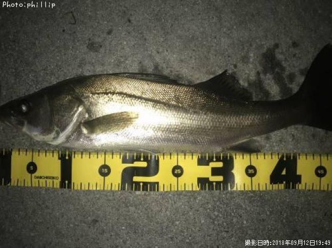 �����Х�