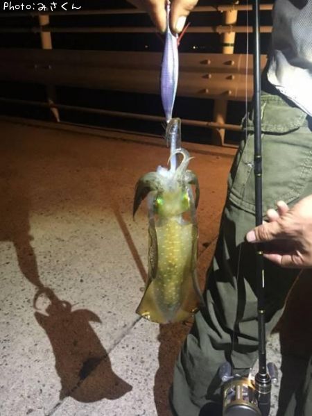 �����ꥤ��