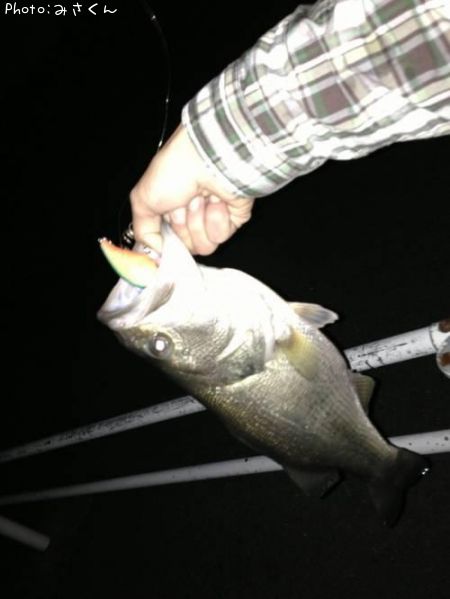 �֥�å��Х�