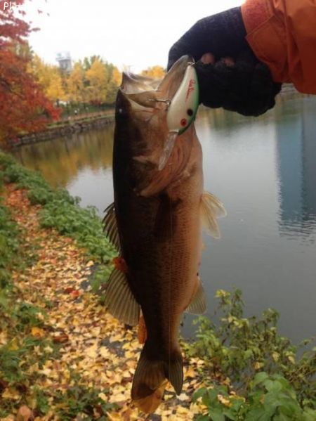 �֥�å��Х�