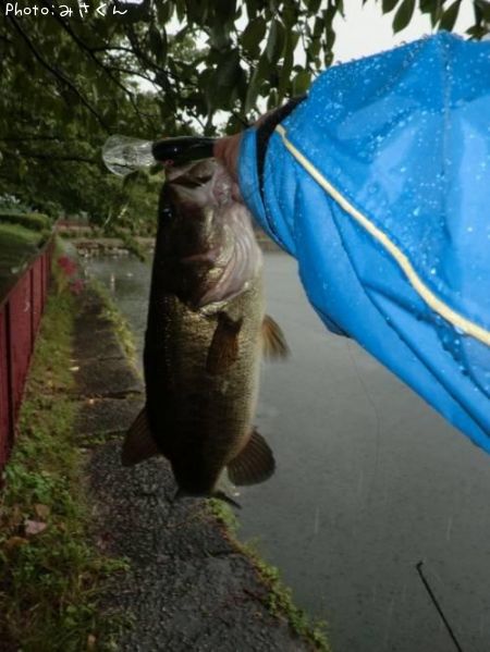 �֥�å��Х�