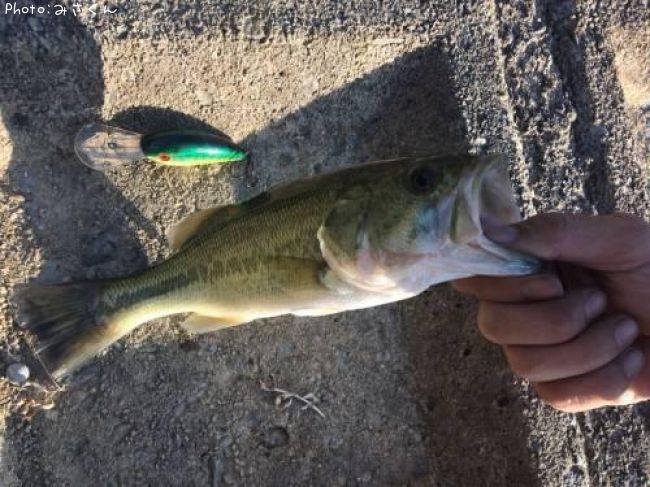 �֥�å��Х�