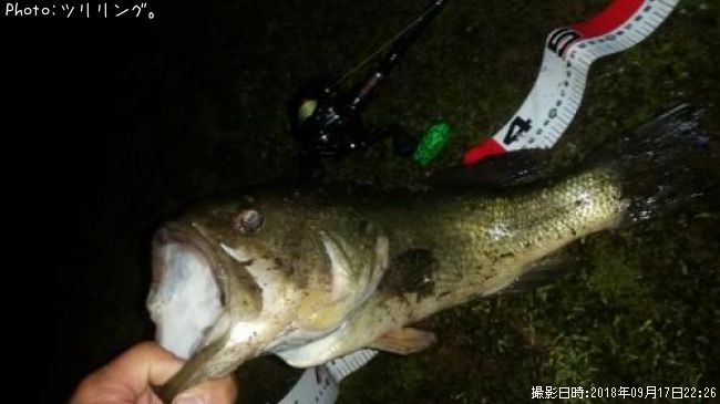 �֥�å��Х�