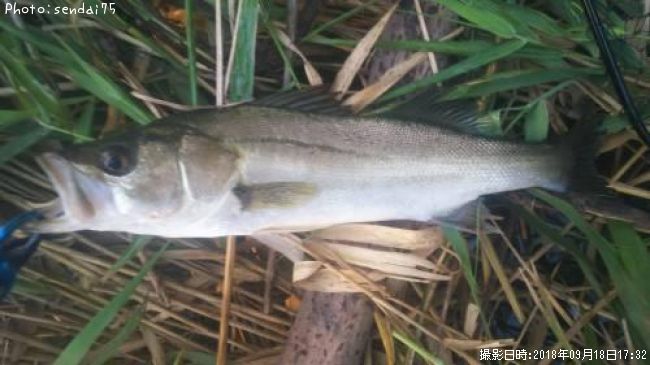 �����Х�