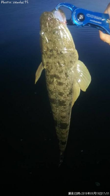 �ޥ���